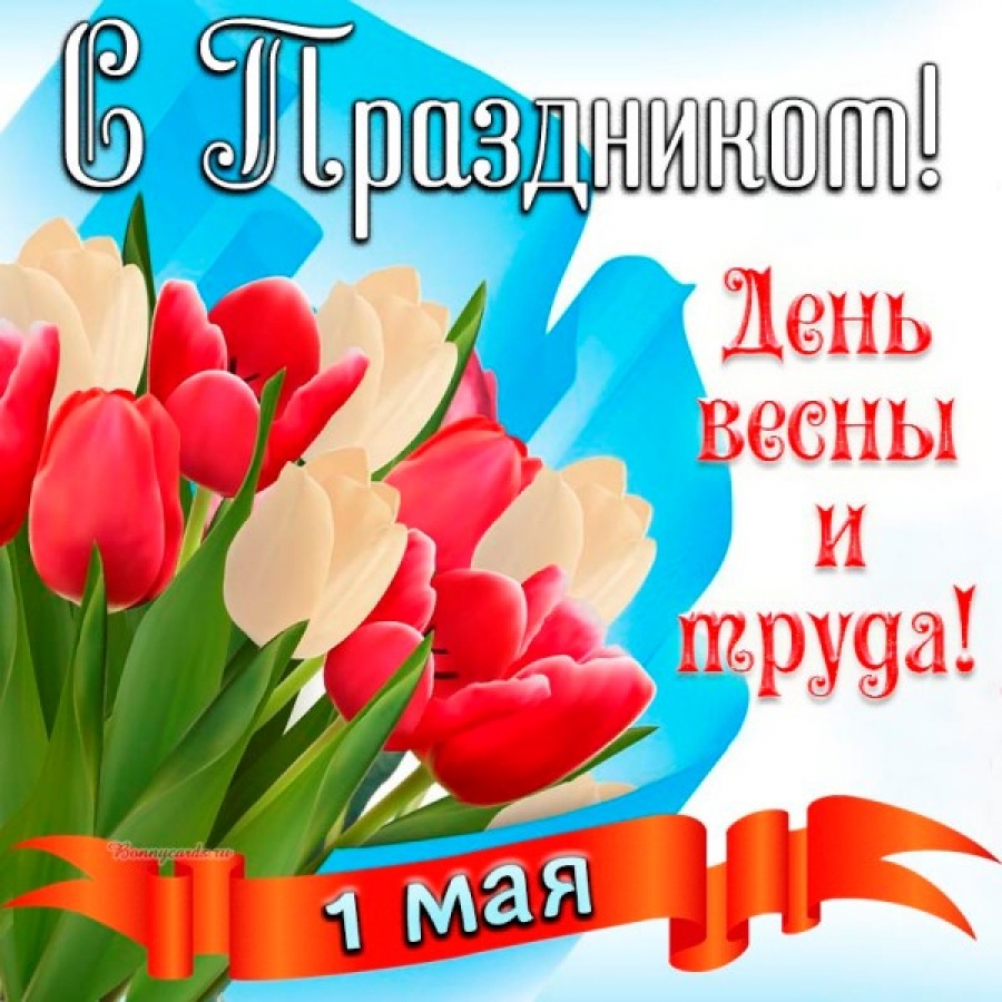 Картинку 1 мая праздник весны. Поздравление с 1 мая. С праздником первого мая. С праздником весны 1 мая. С праздником весны и труда открытки.